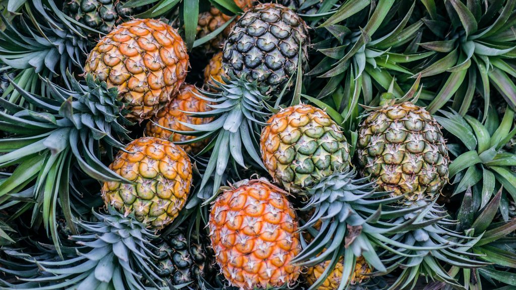 The pineapple express: Booze-ban impacts see pineapple prices increase by 74%